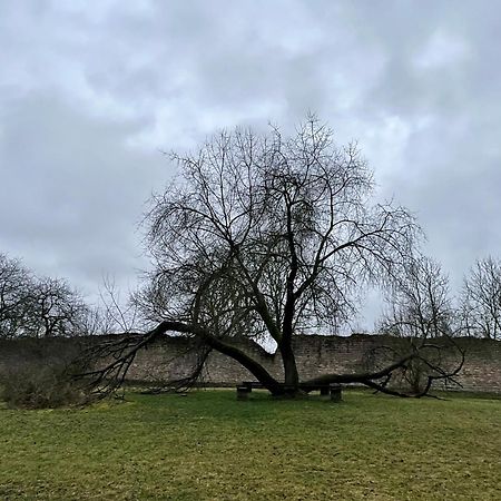 Delux Ferienwohnung am Ilmradweg und Kunstgalerie Kranichfeld Exterior foto